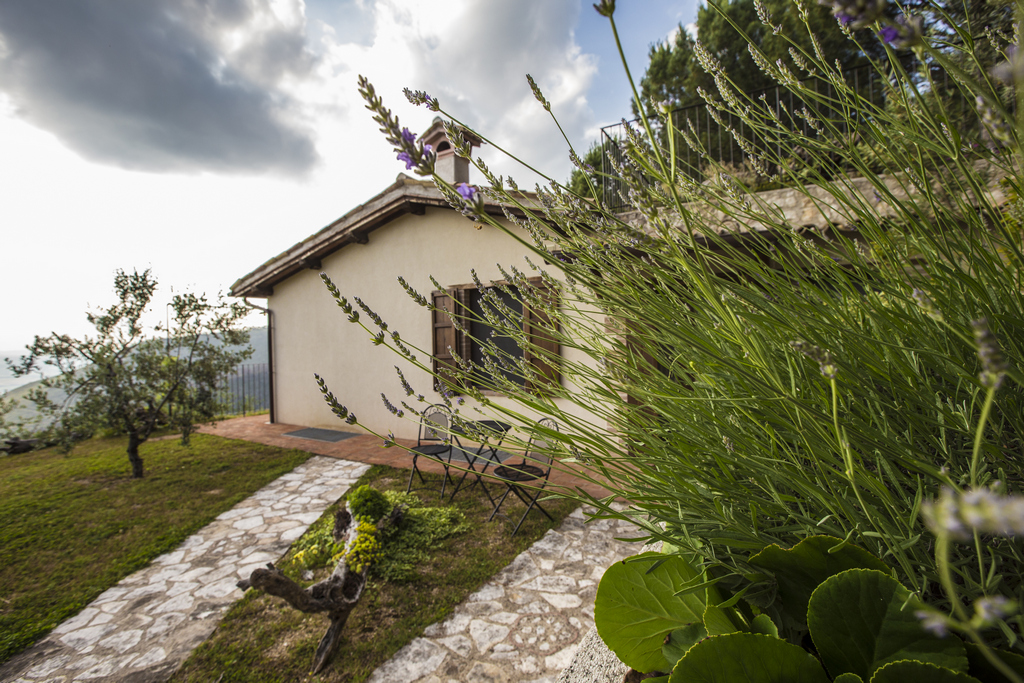 Primo Amore – giardino ingresso