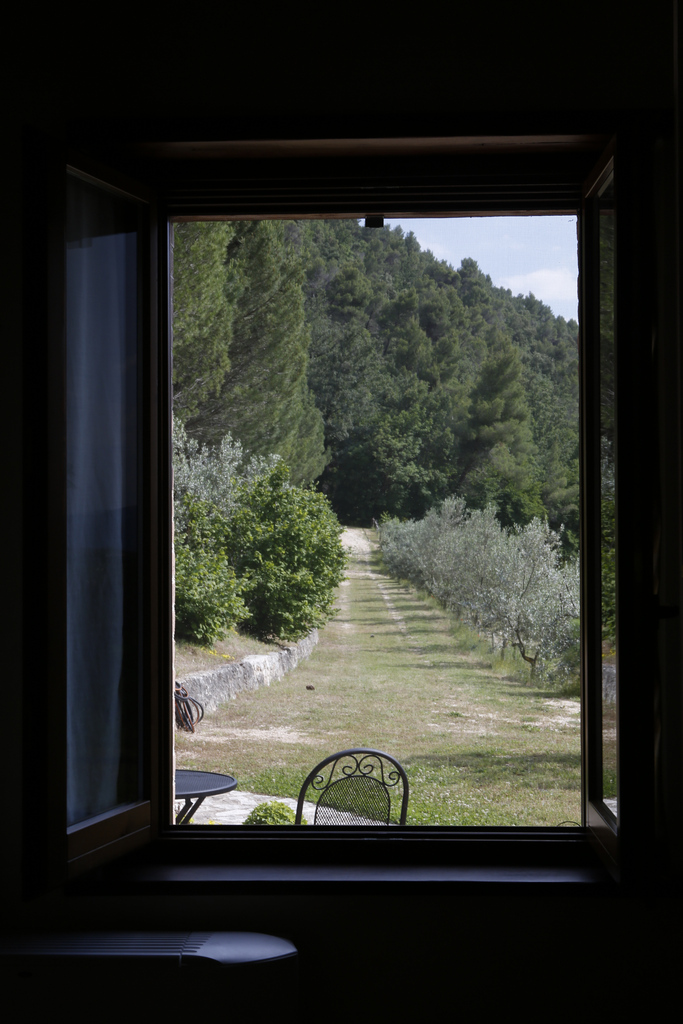 Primo Amore – viale